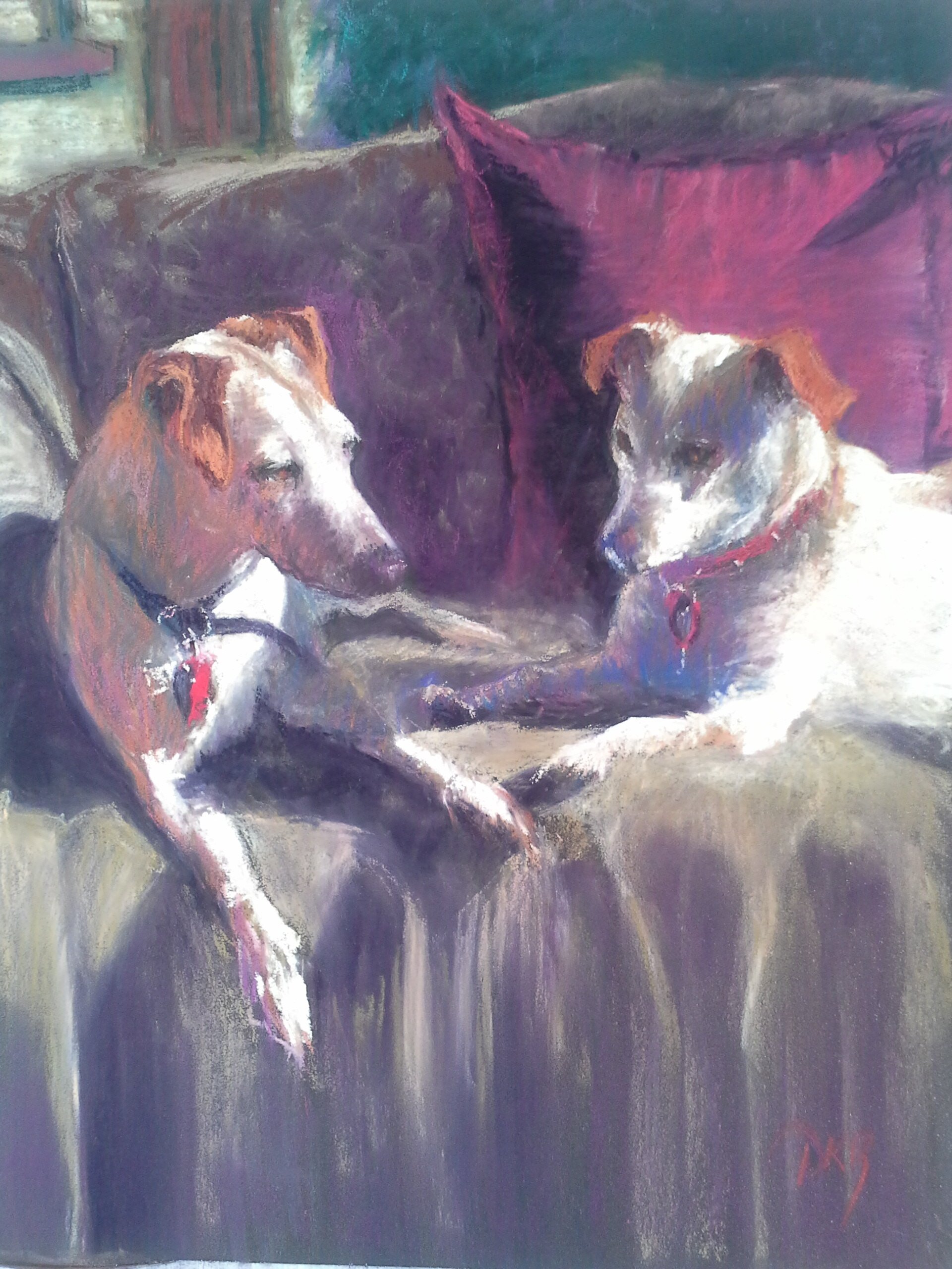 Jack Russells