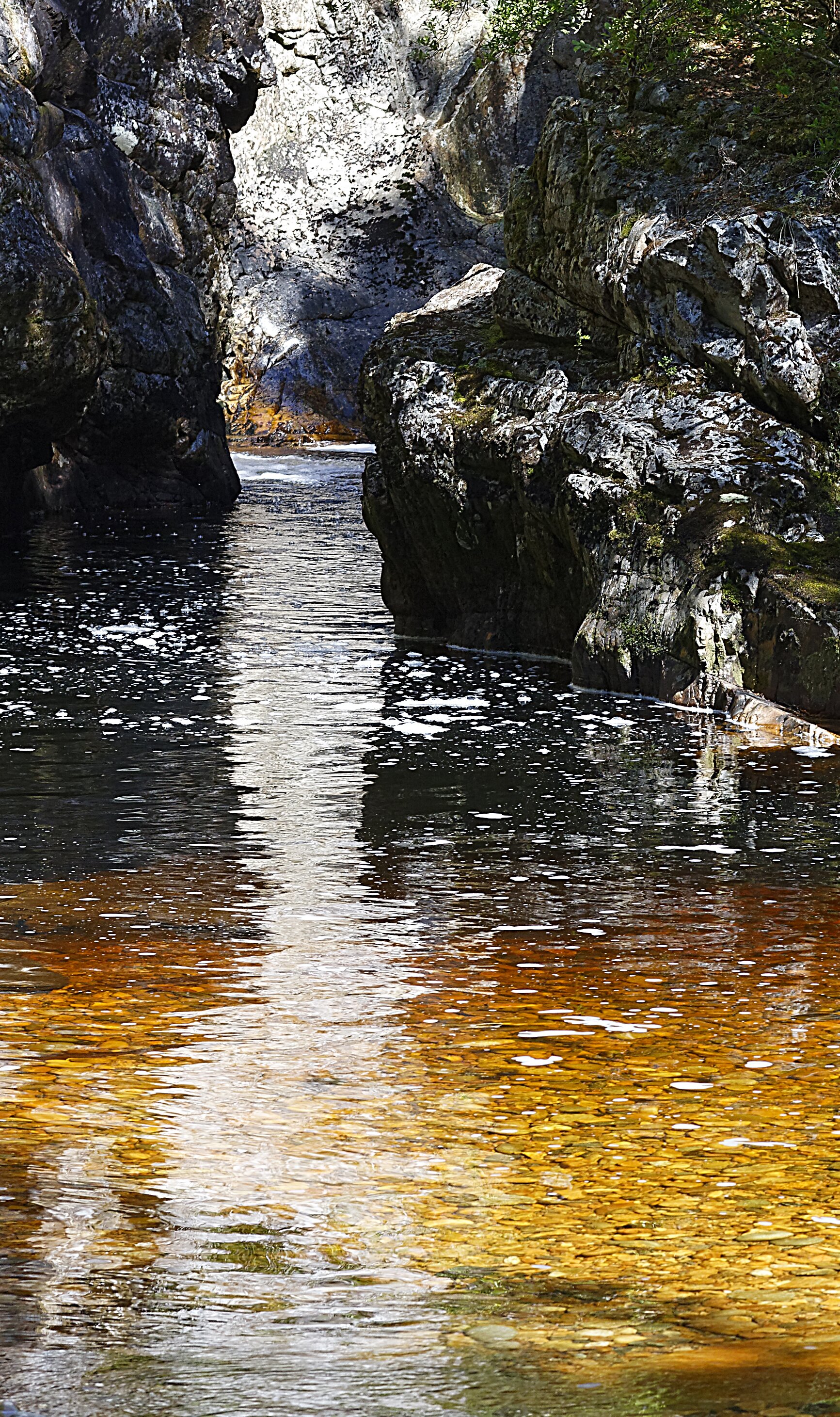 Con_Rhee_Dove_River_emerging_from_its_canyon_upper_parts_panels_8__9_55x900mm_each_2015_vinyl_on_HIPS